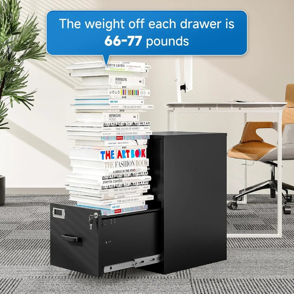 Vertical File Cabinet 2 Drawer Locking Storage for Letter Size Files Office Home Steel