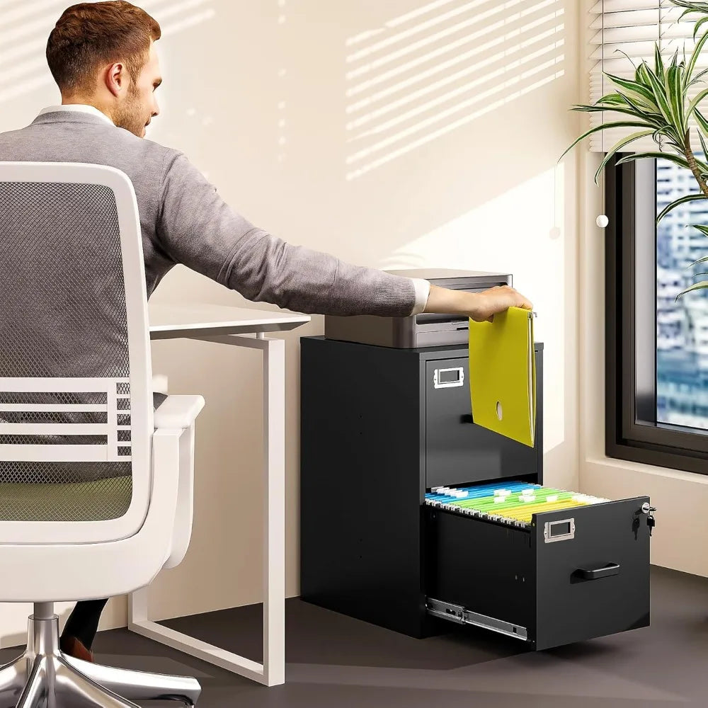 Vertical File Cabinet 2 Drawer Locking Storage for Letter Size Files Office Home Steel
