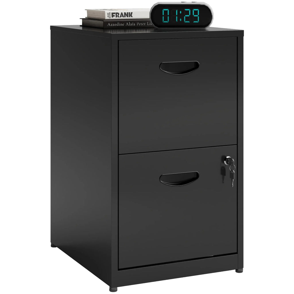 2 Drawer File Cabinet with Lock Metal Filing Cabinet for Home Office Storage Organizer