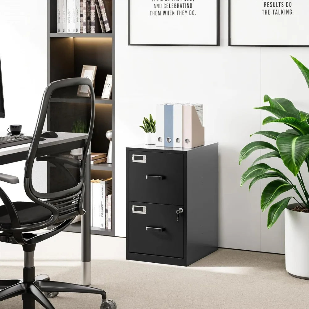 Vertical File Cabinet 2 Drawer Locking Storage for Letter Size Files Office Home Steel