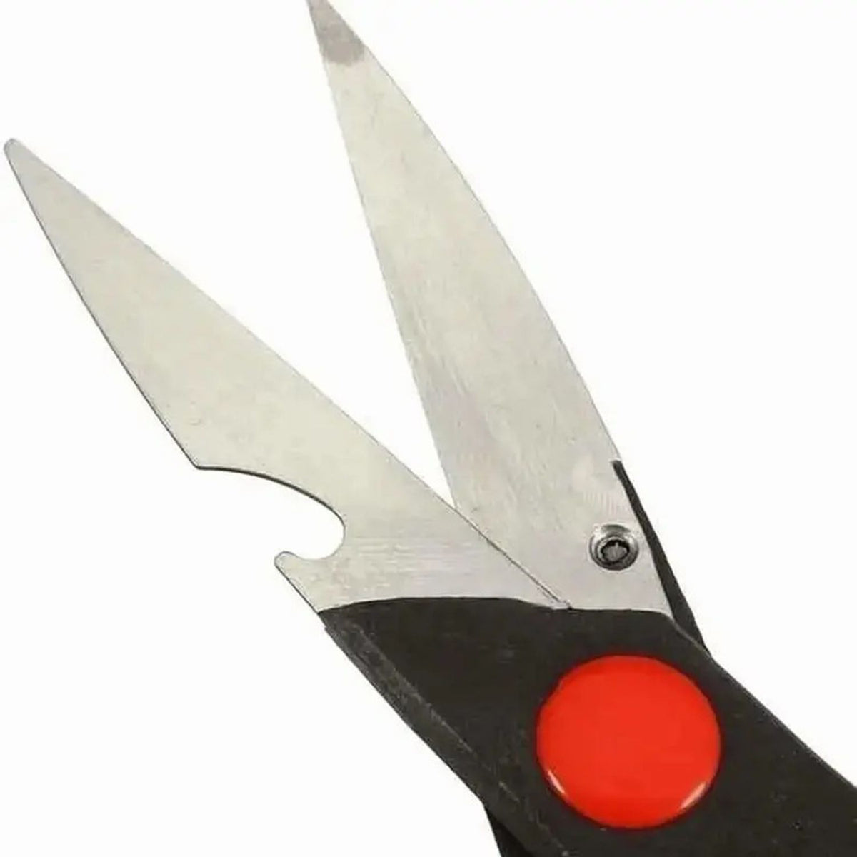 559313881